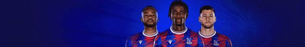 sudoku books will shortz
